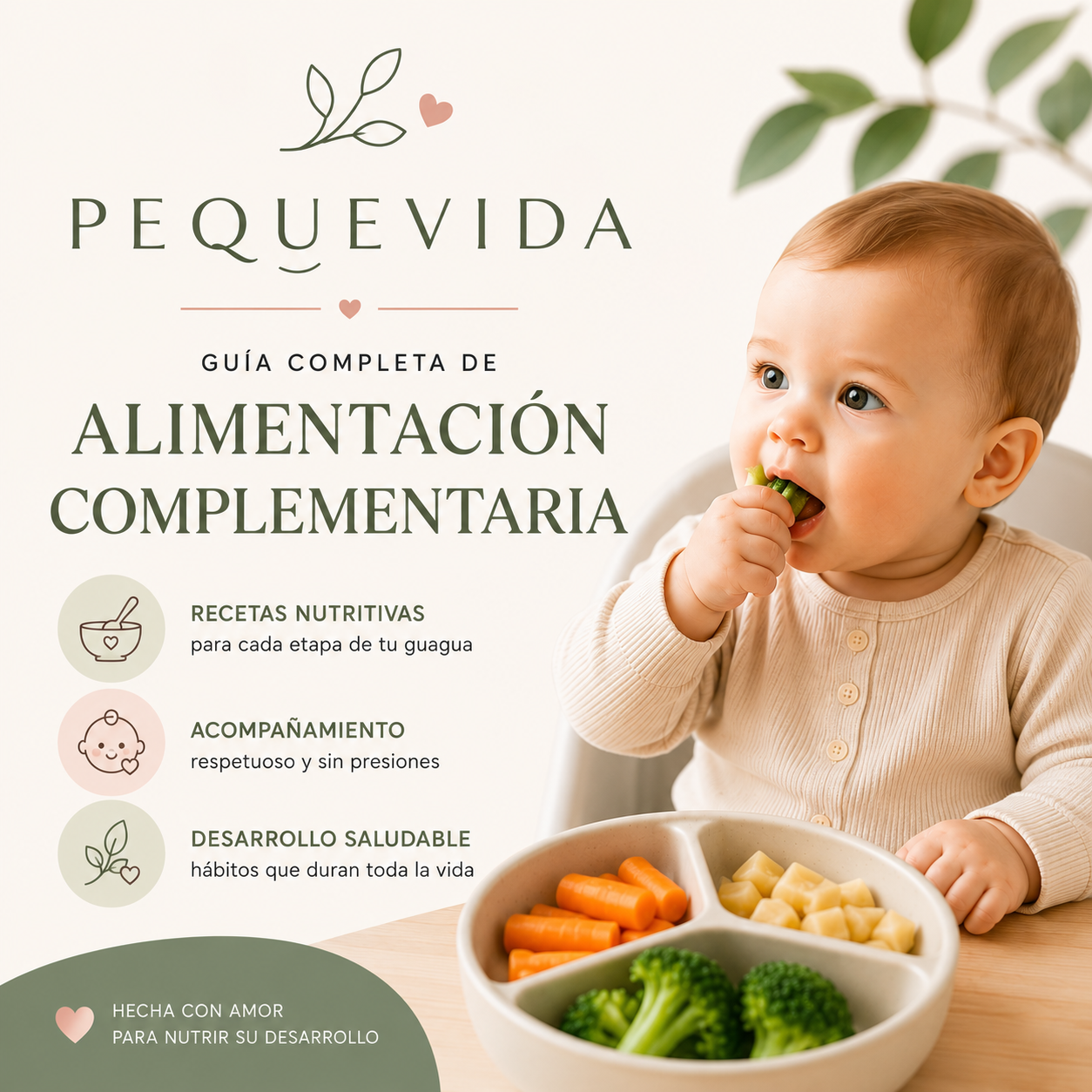 PequeVida® - Alimentación Complementaria